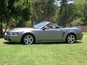 Ford 2001 2001 Ford Mustang SVT